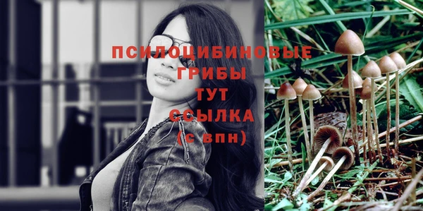 мескалин Белокуриха
