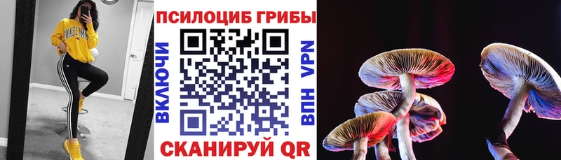 Галлюциногенные грибы прущие грибы Великие Луки